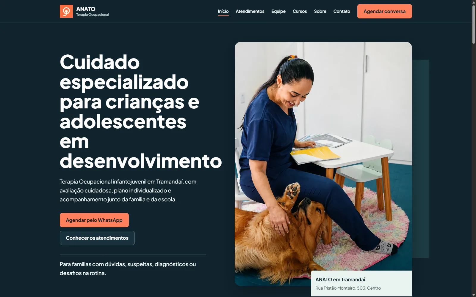 Página inicial da demonstração ANATO Terapia Ocupacional